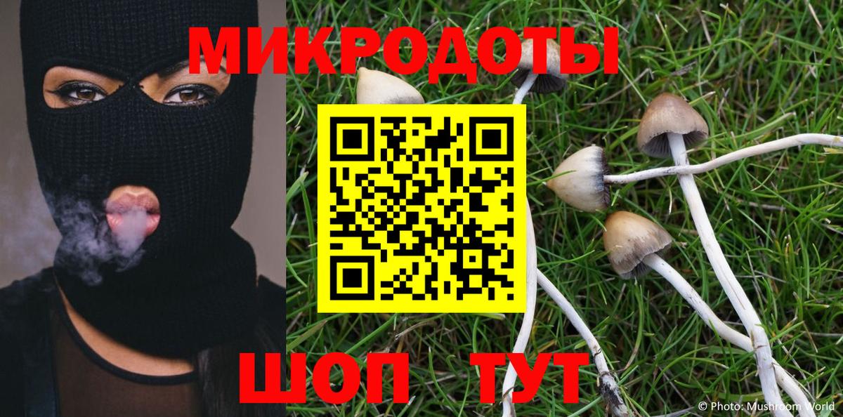 Псилоцибиновые грибы GOLDEN TEACHER Отрадное